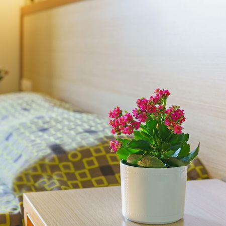 Alianthos Beach Hotel 플라키아스 외부 사진