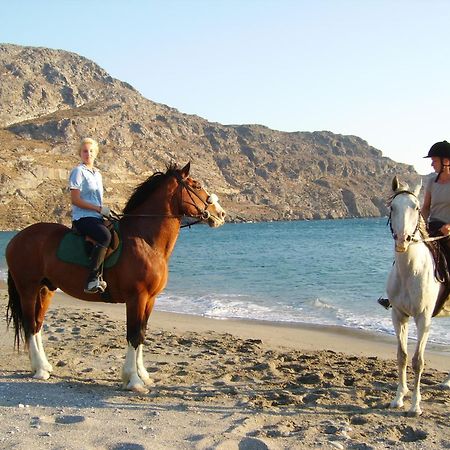 Alianthos Beach Hotel 플라키아스 외부 사진