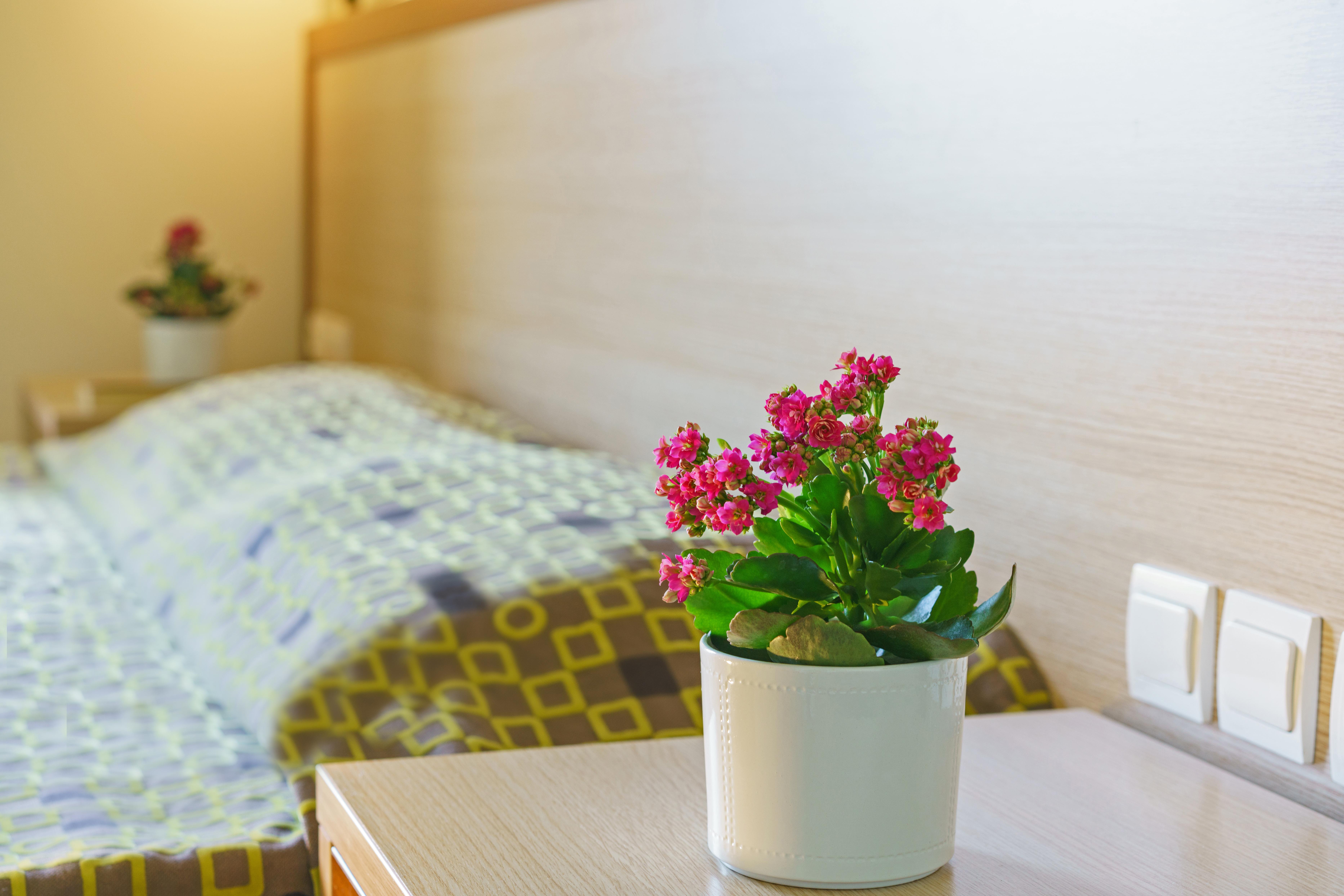 Alianthos Beach Hotel 플라키아스 외부 사진
