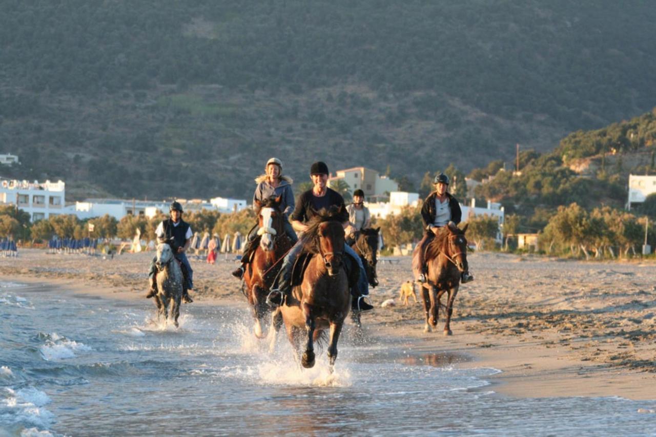 Alianthos Beach Hotel 플라키아스 외부 사진